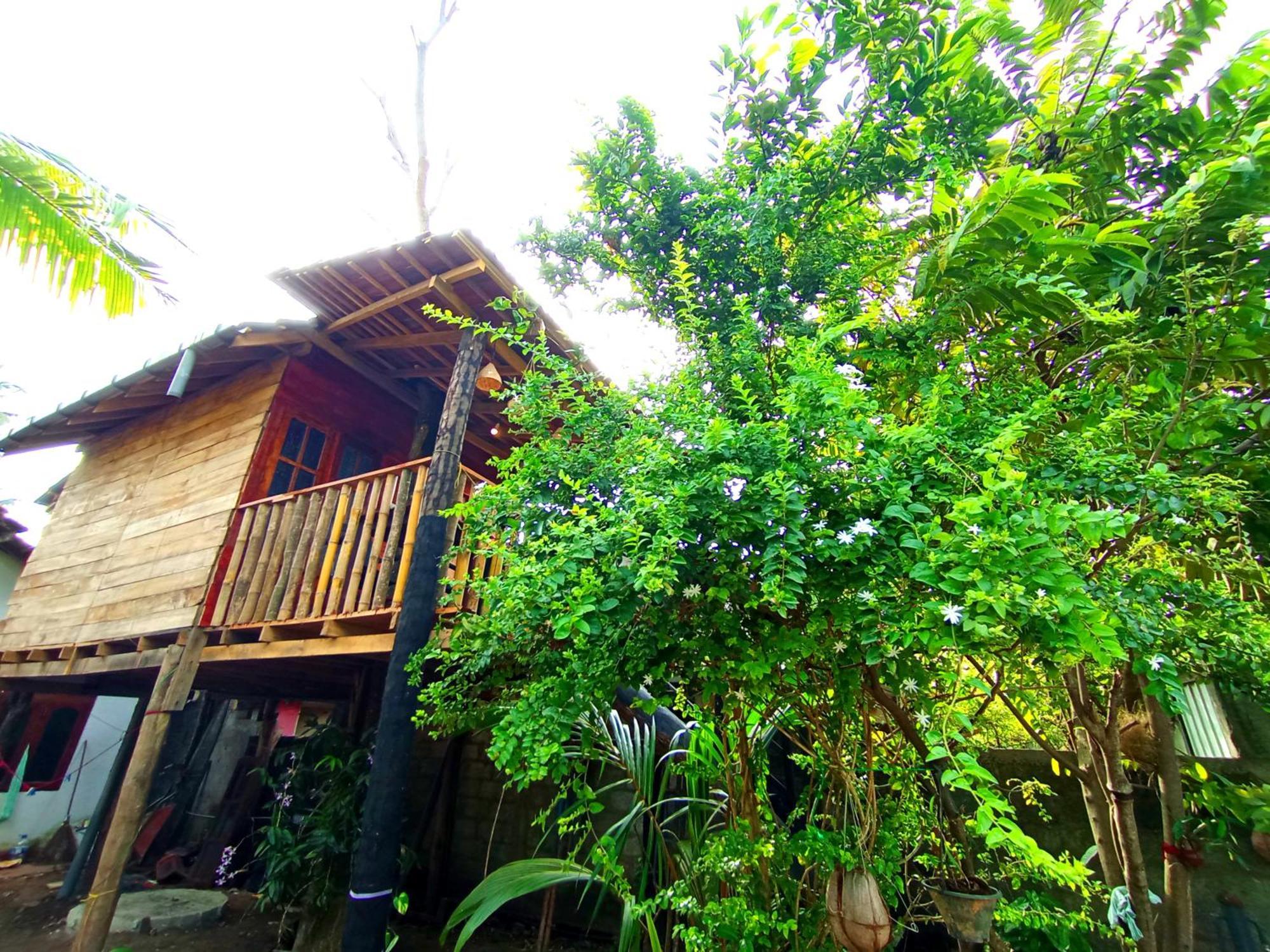 Parrot Tree House Villa Mirissa Dış mekan fotoğraf